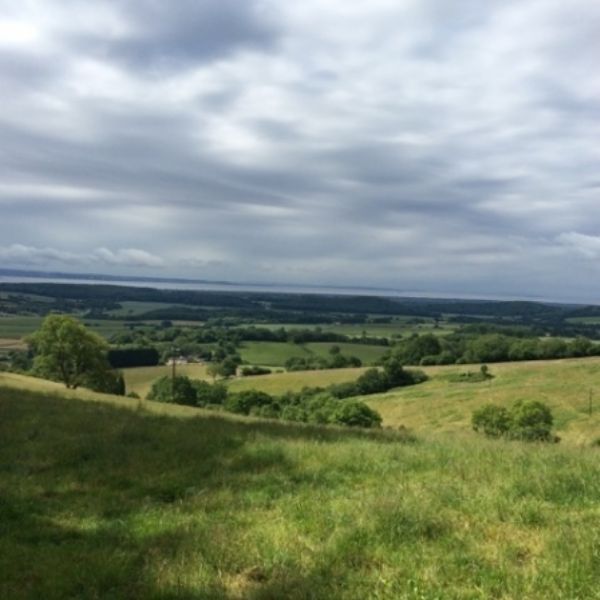 BullaceHill - 11